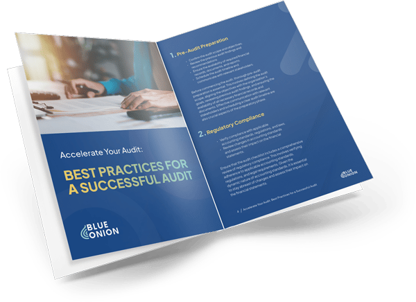BlueOnion_Accelerate-Your-Audit-eBook