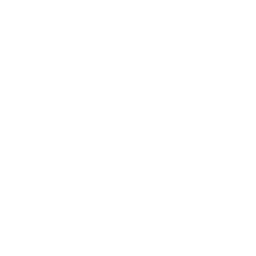 icon_Keep-Financial-Data-Reliable-And-Timely-white